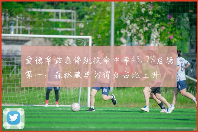 爱德华兹急停跳投命中率45.7%后场第一,森林狼单打得分占比上升